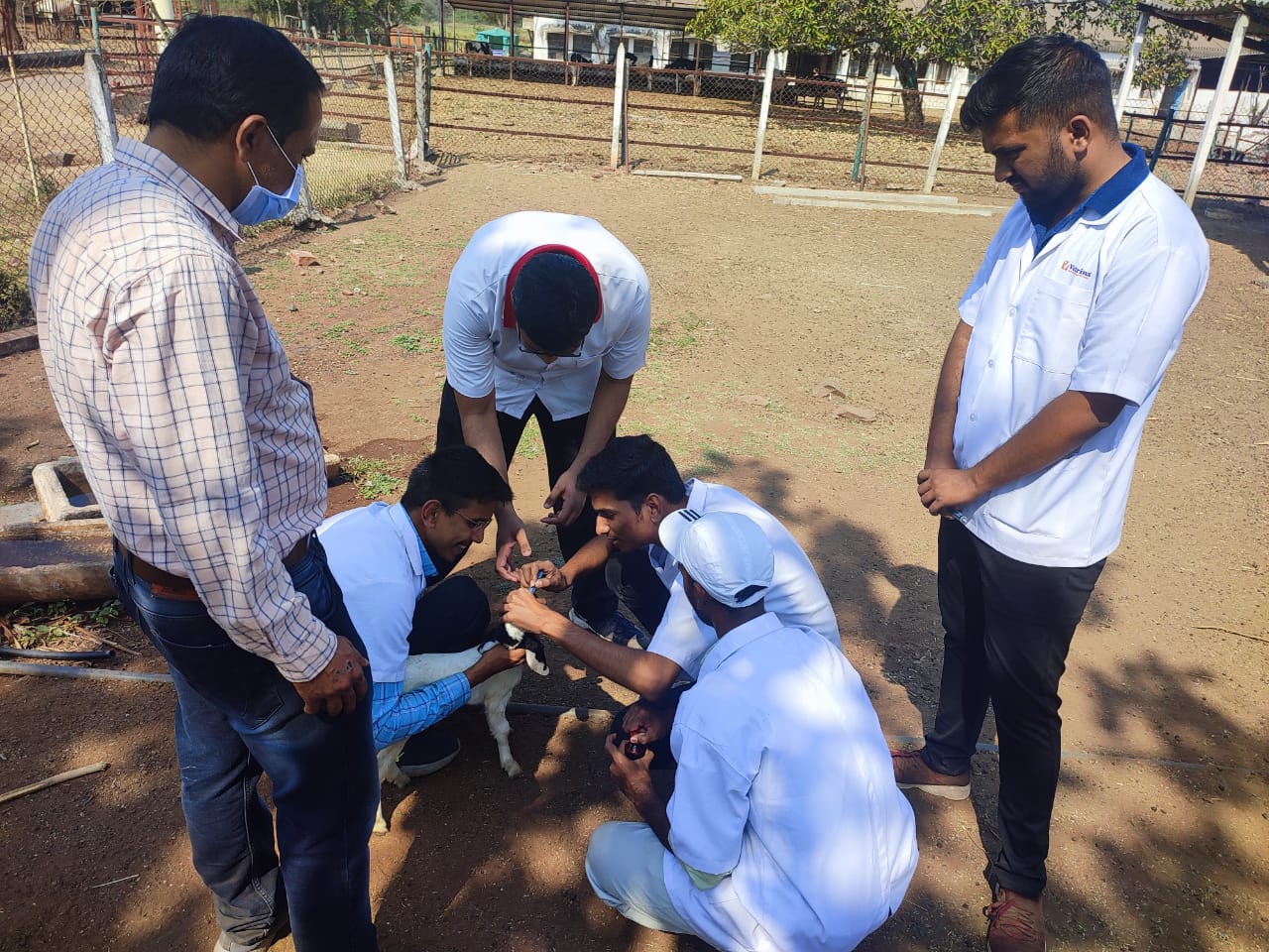 Kid deworming